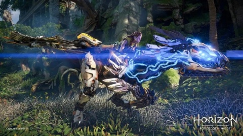 Gra Horizon Forbidden West PS5 Playstation 5 Używana