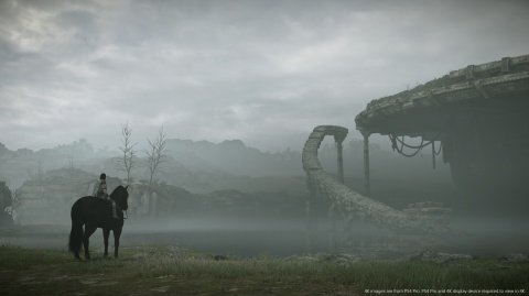 Gra Shadow of the Colossus PS4 Playstation 4 Używana