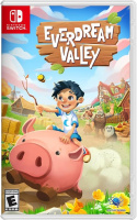 Gra Everdream Valley Nintendo Switch Nowa